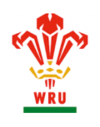 Tienda Rugby Gales